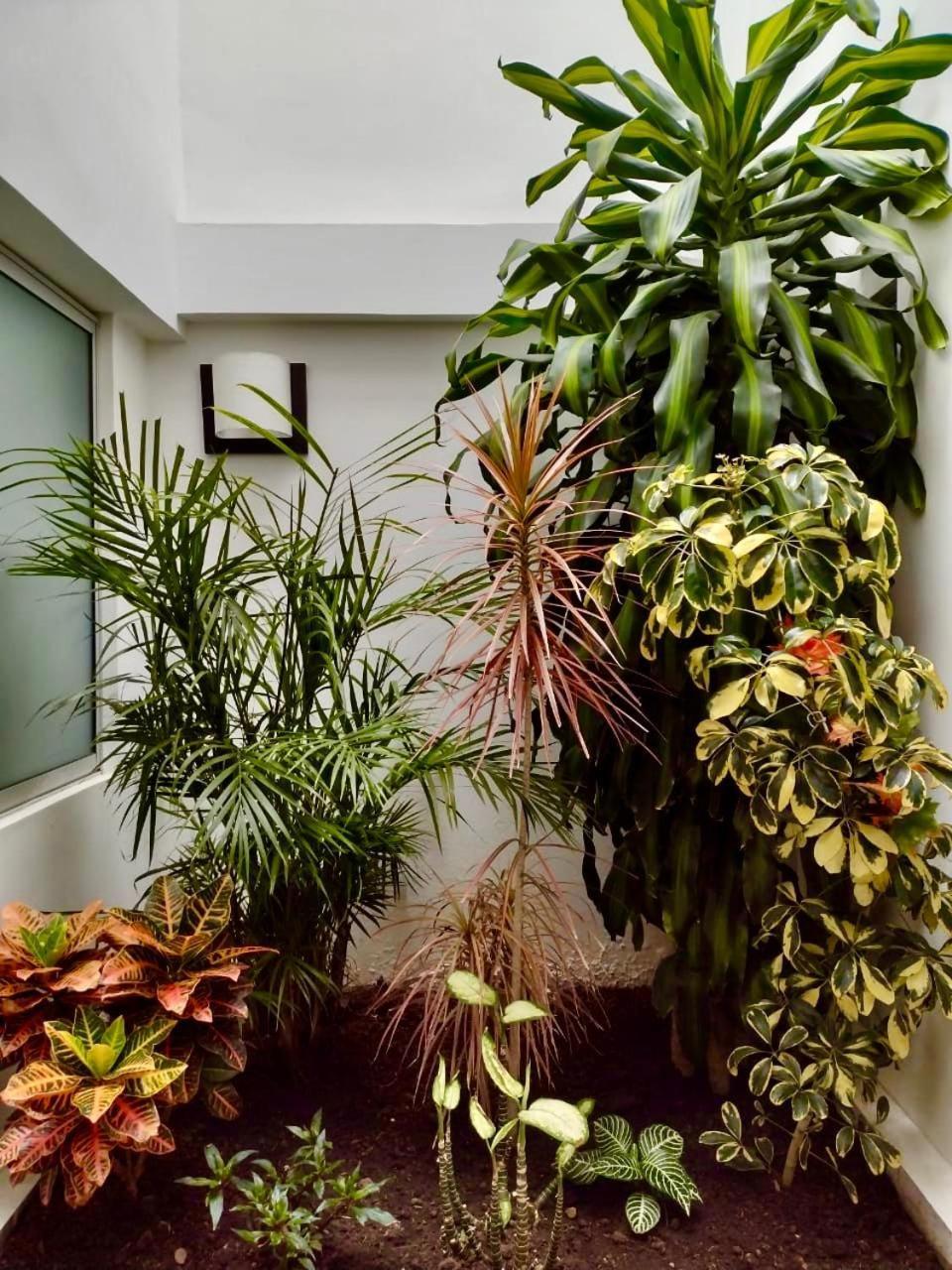 Hotel Jardin 38 파스토 외부 사진