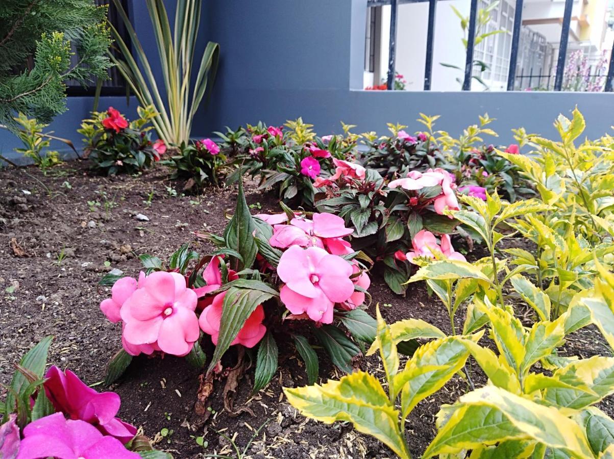 Hotel Jardin 38 파스토 객실 사진