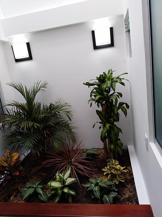 Hotel Jardin 38 파스토 객실 사진